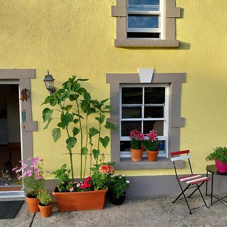 Felicity Cottage Kiltegan Luaran gambar