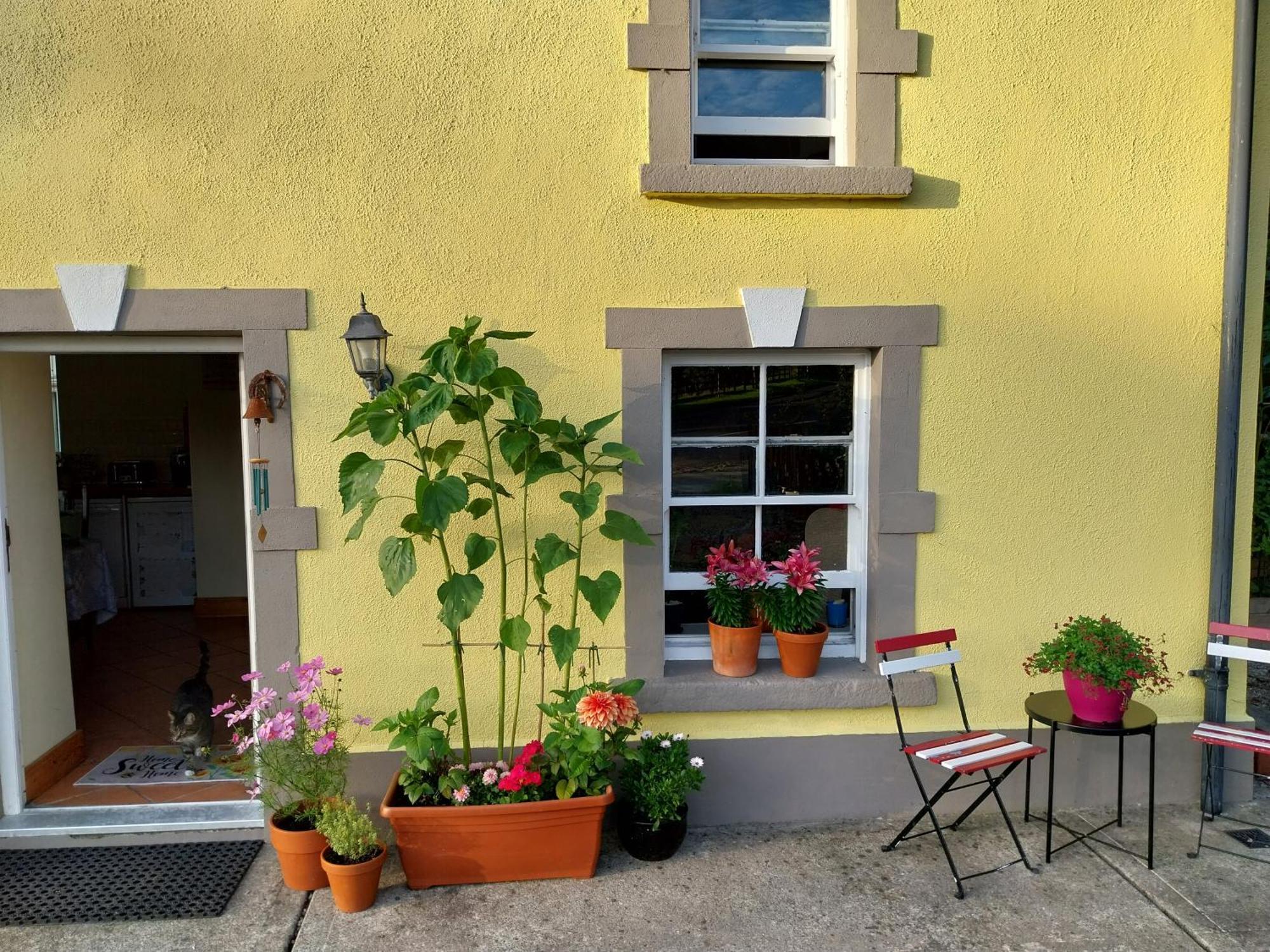 Felicity Cottage Kiltegan Luaran gambar